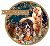 Logo do Canil Cor Salit de Bernese e Golden Retrieve e venda de Fihotes
